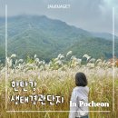 생태다리 | 포천 가을축제 추천 | 한탄강 생태경관단지 출렁다리 &amp; 가든페스타 후기