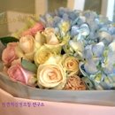 할렐루야타이어 이미지