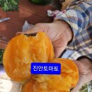 감저