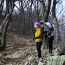 남원 천황봉(만행산) 이미지
