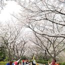 금호동 장미연립아파트 이미지