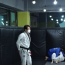 소미션스주짓수&복싱MMA