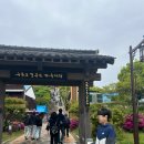 히든스페이스루프캣미고양이카페 | 포항 여행 코스 추천 구룡포 일본인 가옥거리, 까멜리아 카페 구경