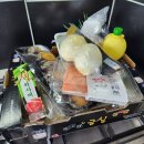 태기바이오 | [3월 다섯째 주 주간일기] 바이오리듬이 예민한 시기
