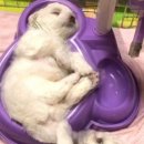 온도라이프 이미지