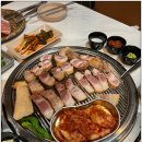 도시고기