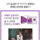 더 다이어트