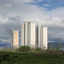 대교약국 이미지