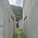 헤리티스 | 홍천 헤리티스 풀빌라 후기 | 라군 프론트 독채 풀빌라 추천