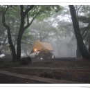 모구리야영장(대피소) | 제주도 관음사야영장 및 한라산 등반