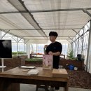 엘디팜영농조합법인 제2농장 | 🍓 [청년농부 성공기] 연매출 9천만 원! 충남대 농대생 2인의 포항 스마트팜 창업 스토리