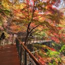 신흥문화공원 앞 | 서울 여행, &#39;남산 하늘숲길&#39;에서 &#39;해방촌&#39;을 거쳐 &#39;이태원&#39;까지 당일 코스