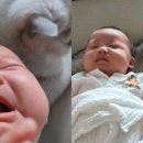 파트너펫 이미지