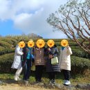 전남권환경성질환예방관리센터 | 녹차로 유명한 보성(전남권 환경성 질환예방관리 센터)