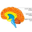 열린사랑의원 이미지