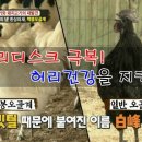 백봉인