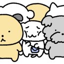 버들김밥