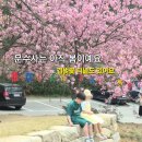 문수사 입구 | 충남 서산 가볼만한 곳 문수사 : 겹벚꽃 성지, 아이와 4월 19일 방문후기