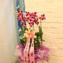 몽스토리 이미지