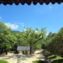 천은사 | [절] 전남 구례군 지리산천은사 방문 후기 💚