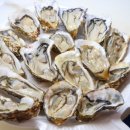 믿음수산 이미지