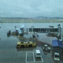 2005 | 홍콩｜인천에서 홍콩 대한항공 KE2005 좌석 기내식 아이스크림 후기