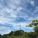 러브무브 | 관악산 사당능선 - 연주대 - 신림선 관악산역 하산 (관악산 러브버그 출몰주의)