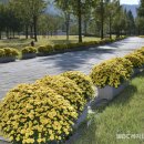 장수군누리파크 이미지