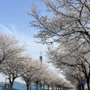 청남면사무소 이미지