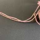 리즈동물병원 이미지