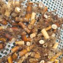 이명은 농장 이미지