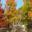 아침뜰근린공원 이미지