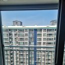 오케이글라스 이미지