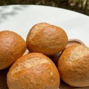 마고플레인 이미지