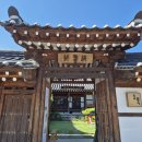 달고양이 이미지