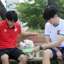 함께할개 사랑할개 이미지