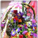 효성과일 이미지