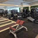 수원-정자-정자-10 | 수원 정자동 헬스장 피트니스디 헬스 PT 수원 정자점 방문후기