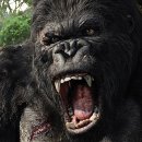 킹콩 이미지