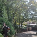 배내골 휴펜션 이미지