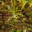 서곡초등학교 이미지