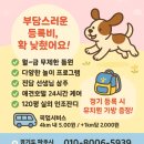 똥꾸멍멍 이미지