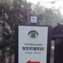 변산반도국립공원-내변산[관음봉] (425m) 남여치탐방안내소-쌍선봉삼거리-월명암-직소보-직소폭포-재백이고개-관음봉(425m)-세봉-내소가일주문-주차장(11.5km) 이미지