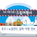 드림여행사 이미지