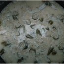 경북농업기술원 영양고추시험장 이미지