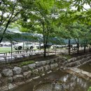 자연숲 펜션 이미지