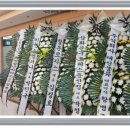 오십천로 이미지