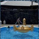 할라타 플레이스 | 제주도오션뷰펜션 제주에서 만난 포옹 같은 쉼터, 할라타 플레이스 협재 후기