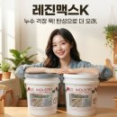 무기질탄성도막방수제 하나로 누수 해결한 충격적인 후기(+외벽 옥상 방수 끝판왕)