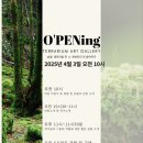 내 책상위의 작은 숲 테라리움 이미지